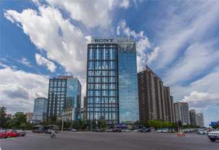 深圳白番茄供应