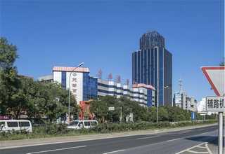 山东槽式剥皮机哪家好